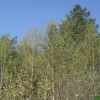 День Весны и Труда-0:4