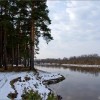 Весенний день-1:8