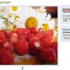InstantCMS 1.10.3 - рейтинг фото-2:3