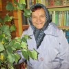 День пожилого человека в России-1:3