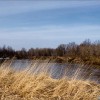 Весенний день-6:8