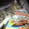 Певец русской природы-6:7