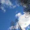 Библиосумерки-0:6